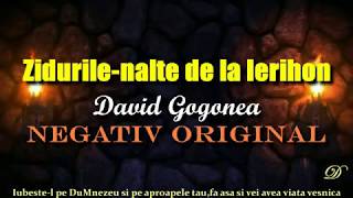 Video thumbnail of "Zidurile inalte de la Ierihon,negativ prezentat de David Gogonea"