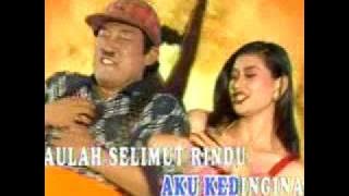 halvy maryand - kumbang dan madu