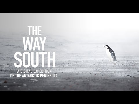 The Way South - A Digital Expedition of the Antarctic Peninsula - Online Edition