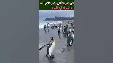 🔥 مشهد رهيب (وأصحاب الشمال ما أصحاب الشمال) من سورة الوو من #القرآن_الكريم #الرقية_الشرعية #علاء_عقل