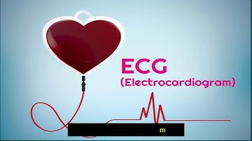 Acquisition and Analysis of ECG Signal (Uncut Version)