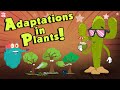 Adapting to Environments: The Survival Strategies of Plants