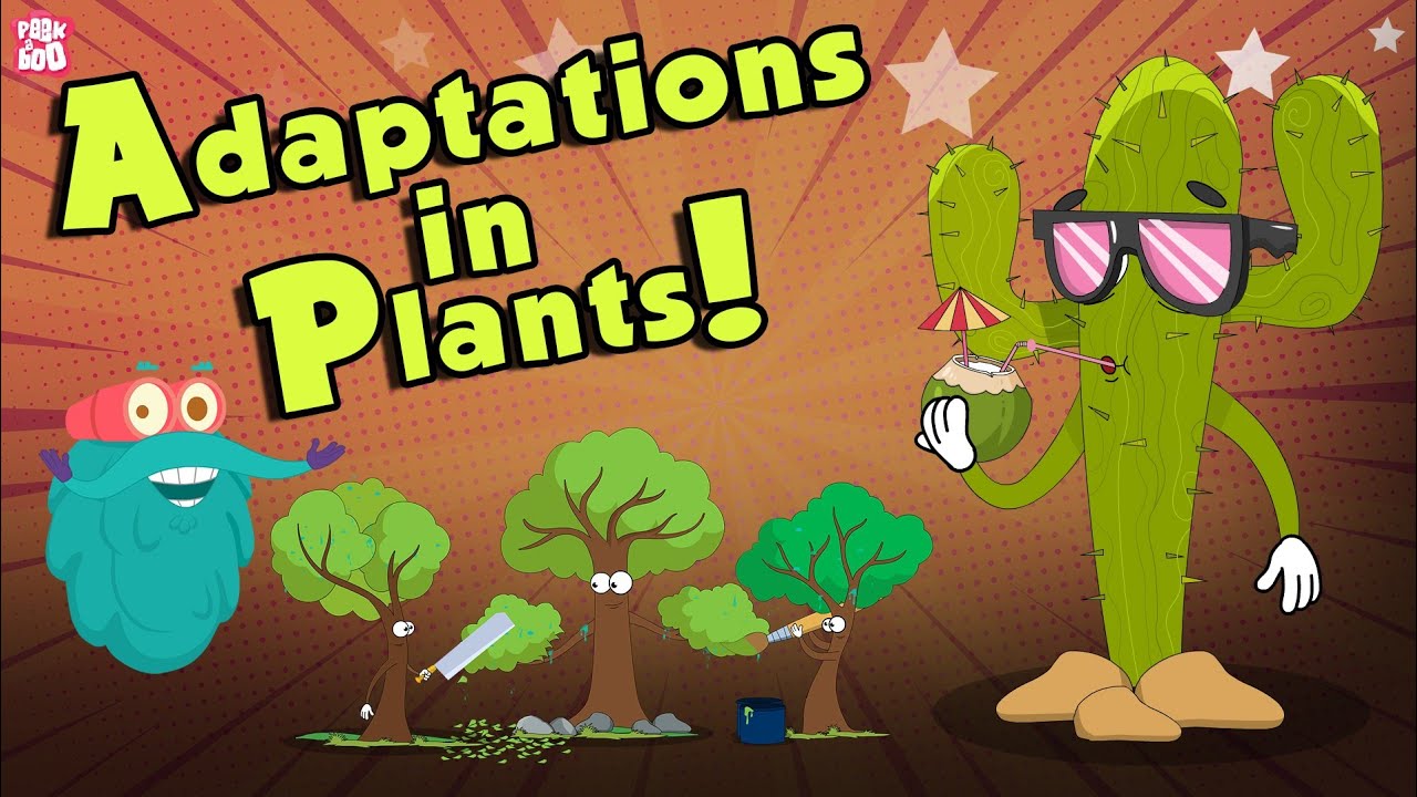 Adaptations In Plants | What Is Adaptation? | The Dr Binocs Show | Peekaboo Kidz