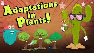 Adaptations In Plants | What Is ADAPTATION? | The Dr Binocs Show | Peekaboo Kidz