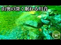 夜に聴く川の音で不眠解消と深い眠りのための自然音