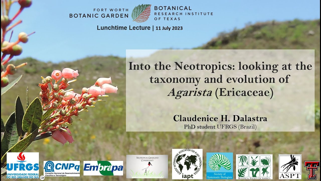 Lunchtime Lecture Series: Claudenice Dalastra, Into the Neotropics