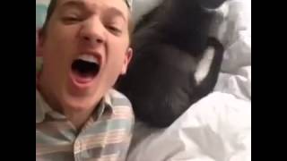 My Cat Loves Me So Much Vine By Jack Dytrych Funny