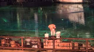 USJCountDownParty2014　ウォータ・ワールド【2013年最終ショー】2013/12/31（火）20:55～