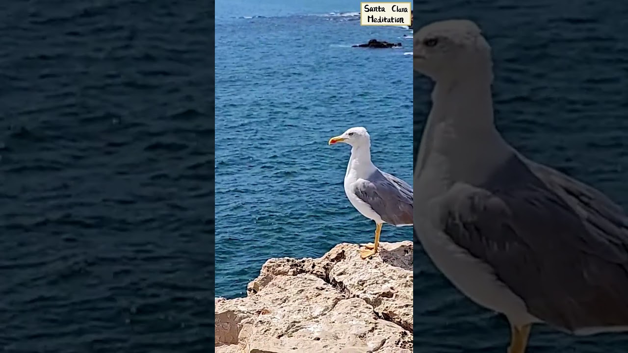 ✨ Enlightenment: The Prerequisite for True Life and Eternal Heaven | Master Woo Myung