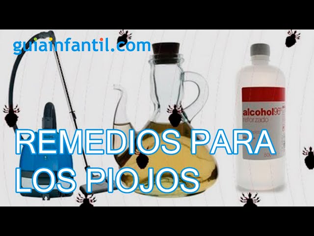 Piojos: 4 remedios naturales que no tenías en cuenta