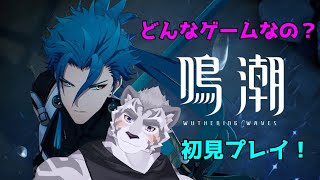 本日リリースの最新作『鳴潮』を初見プレイ！！！！！