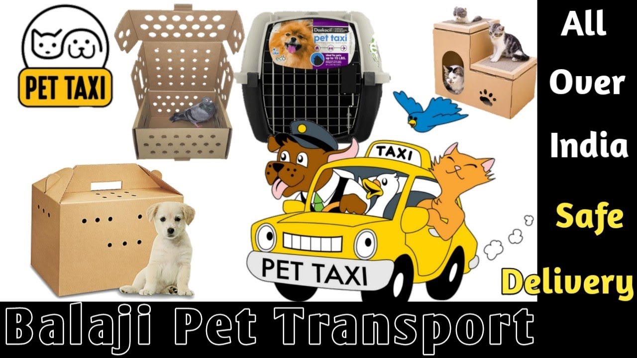 Shri Balaji Pet Transporte All Over India / Dog Delivery All India