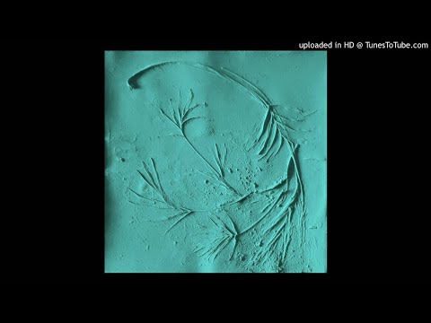 PROXYMA - ALIENATION