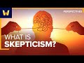 Understanding Skepticism and Its Implications