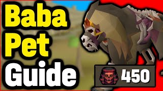 TOA 450 Baba Pet Transmog Guide (No Tumeken Shadow/Tbow/Butterfly/Red X)