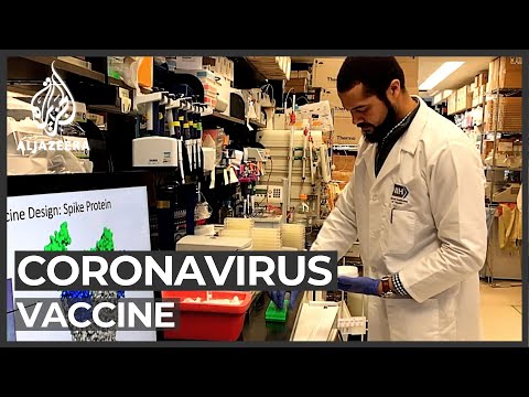 coronavirus:-scientists-in-the-us-race-to-find-a-vaccine