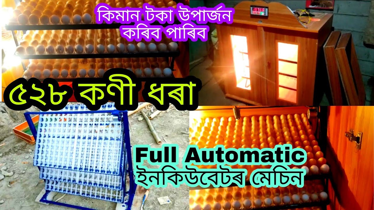 ৫২৮ টা কণী ধৰা Full Automatic ইনকিউবেটৰ মেচিন। Full automatic incubator machine in Assam| Incubator
