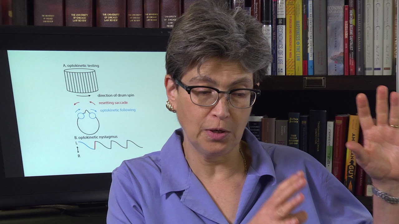 14.8 Optokinetic Nystagmus