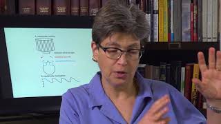 14.8 Optokinetic Nystagmus