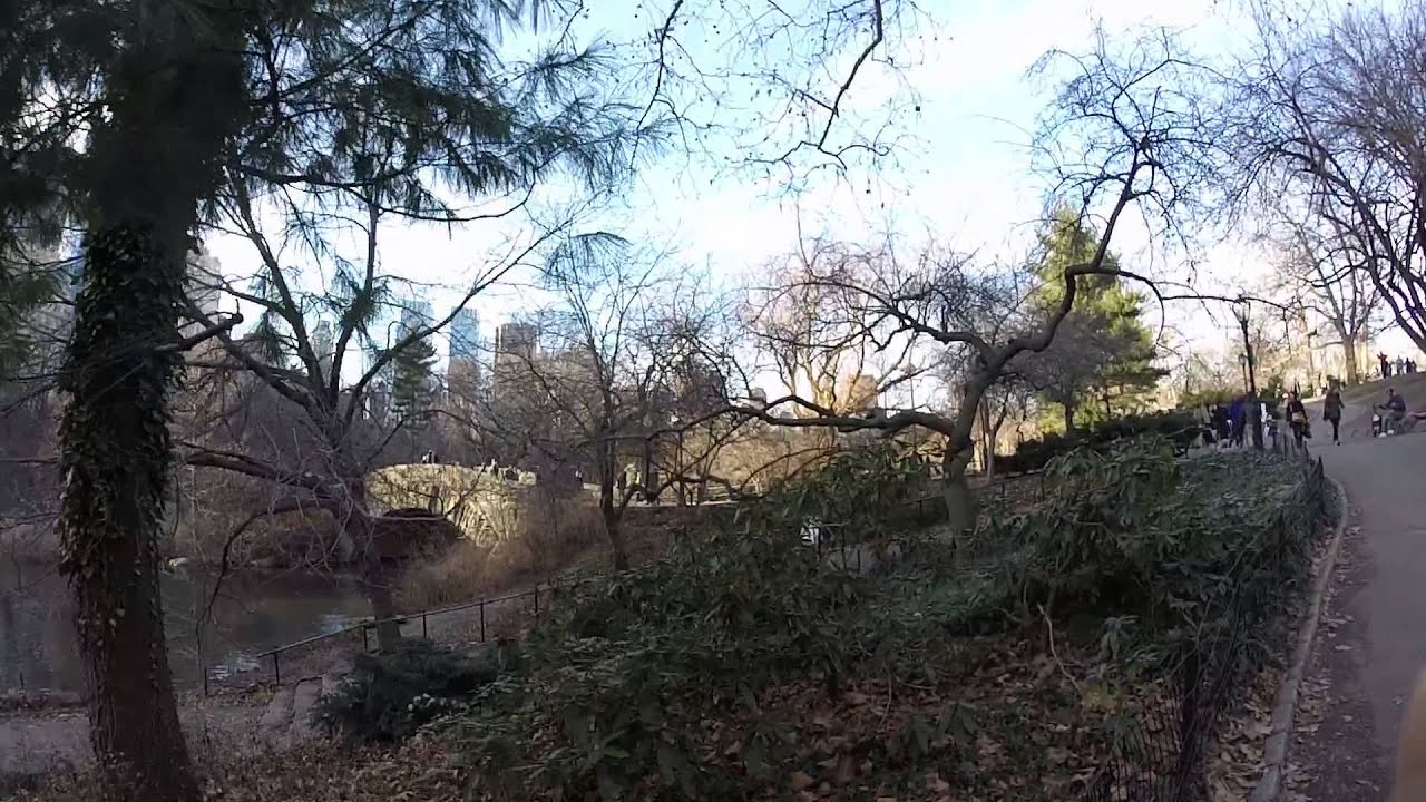 camera iphone 8 plus apk GOPR0 Central Park December 2014 New York Manhattan