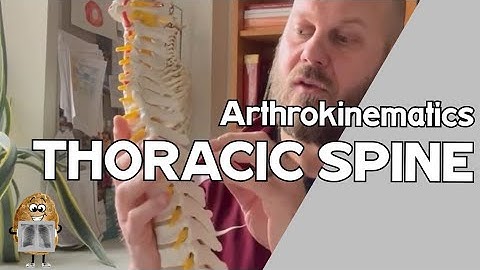 Thoracic Spine Arthrokinematics & Osteokinematics