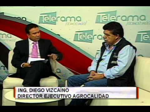 Ing. Diego Vizcaíno 
