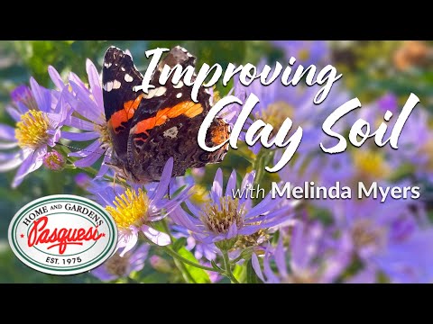 How to Improve Clay Soil in the Garden