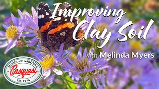 If you need help with your clay soil, melinda myers offers a few easy
tips for working existing soil by incorporating compost, peat moss,
organic m...