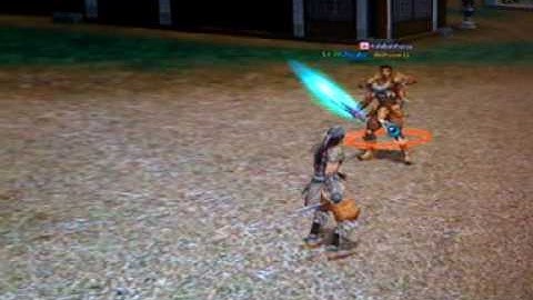 Ninja vs Warrior Metin2