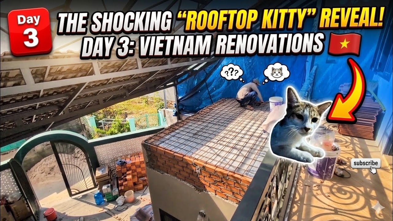 I CAUGHT THE CULPRIT! 🐱 Vietnam House Reno Day 3
