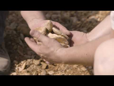 Film appellation Vacqueyras