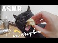 【ASMR】サクサクチキンの猫の咀嚼音 Cat Reviewing freeze dried chicken ASMR