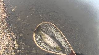 Round Valley Reservoir Fishing: Catching Large Brown Trout