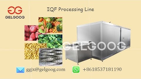 IQF Broccoli Freezing Machine - Frozen Broccoli Procesing Equipment