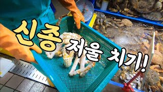 인천 종합 어시장 수산물 깍지 마세요? 신종 저울치기 모르면 당합니다! 오늘 영상 꼭 기억 하세요.Korean fish market channel.