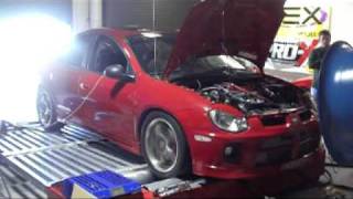 367WHP Turbo Upgraded Dodge SRT 4 High Boost Dynoed at Static X Motorsports