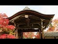 Yajiさんの京都 秋の紅葉 嵐山 二尊院【Kyoto,Arashiyama Nison-in temple】