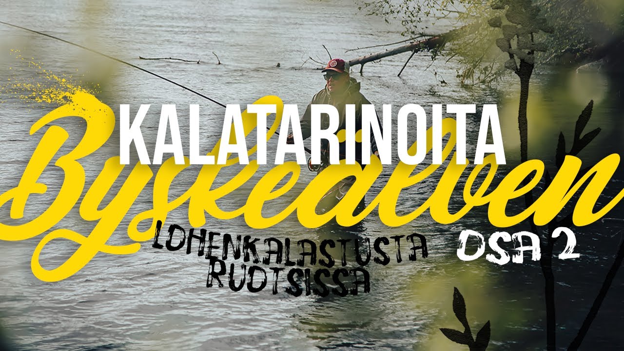 KALATARINOITA - 10KG LOHI BYSKELLÄ 2/2