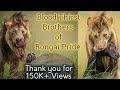 Blood thirst brothers of rongai once called black rock boys today leading the rongai pride masai