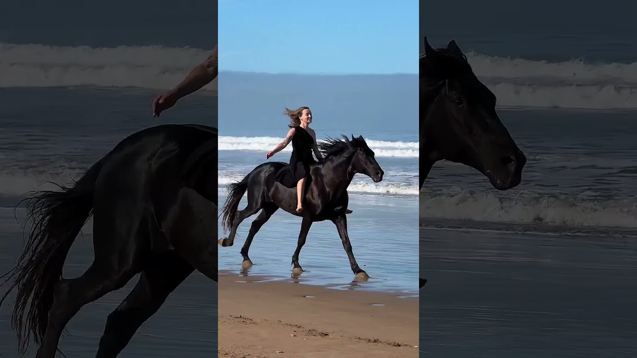 crazy horse and crazy horse riding 