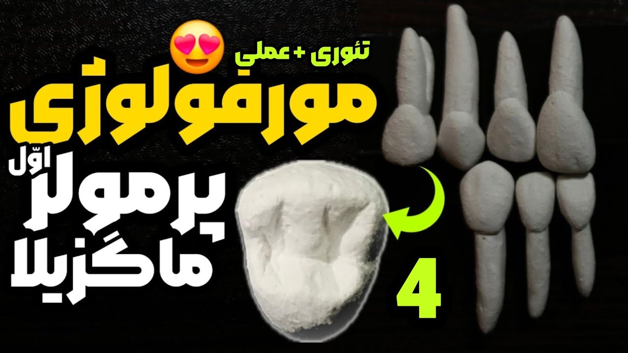 آناتومی دندان پره مولر اول بالا|مورفولوژی دندان پره مولر اول بالاcarving of maxillary first premolar
