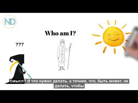 ЗЕРКАЛО ABSOLUTA