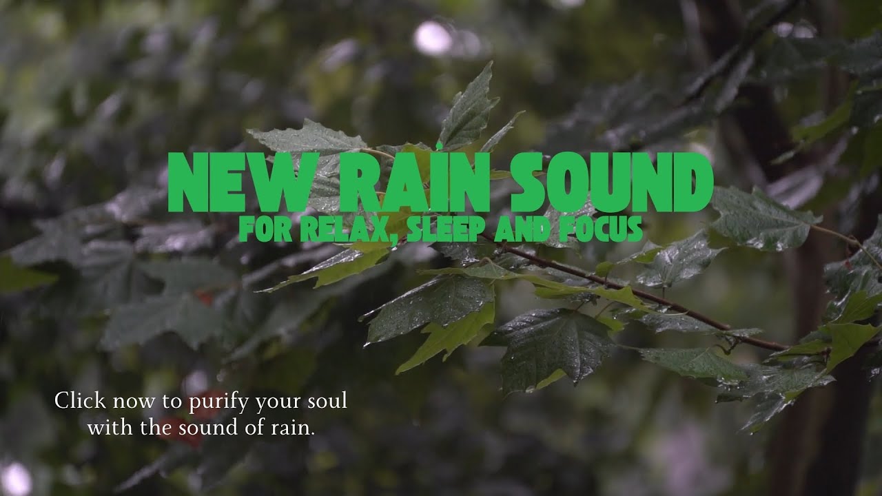 Clear Your Mind with Rain Sound 🌧 Relax, Sleep, or Focus
