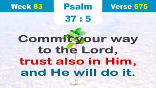 7 Bible verses to memorize 📖 (week 83, v. 575-581)