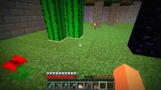 ThunderCraft! An Awesome Minecraft server!