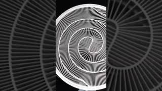 16-Laser Synchronized Printing