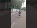 my new cycle