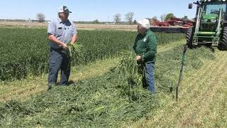 MMPA Cover Crops Field Day: Cook Dairy Farm