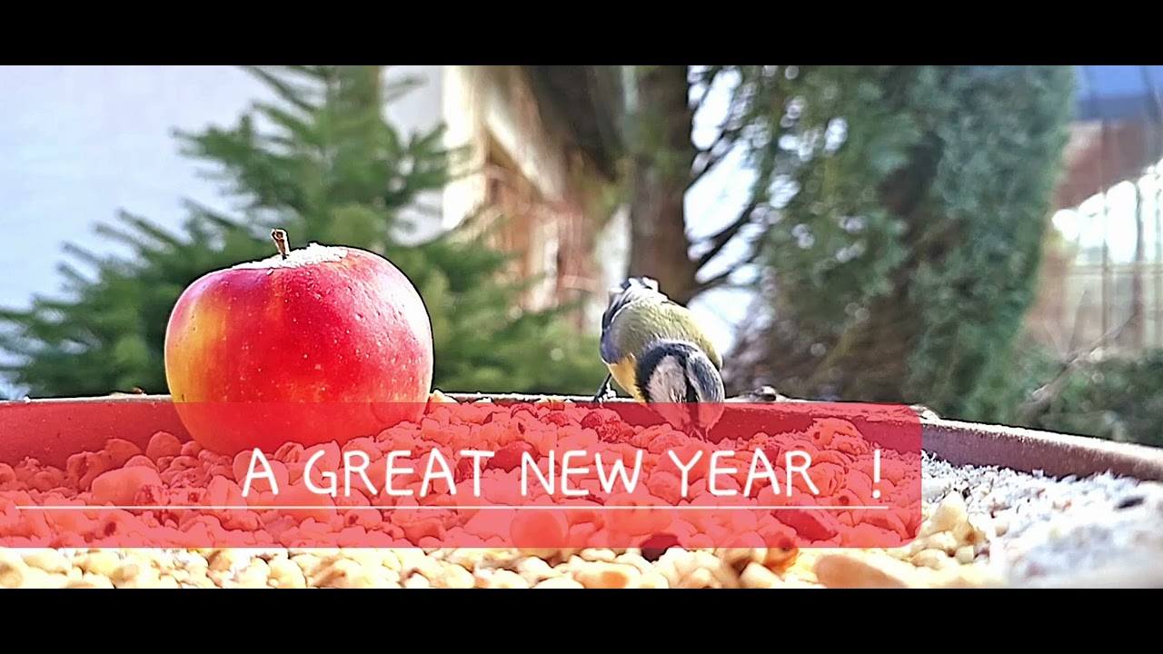 A GREAT NEW YEAR ! - YouTube