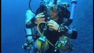 A Technical Dive At The Blue Hole Dahab - Short Version.wmv